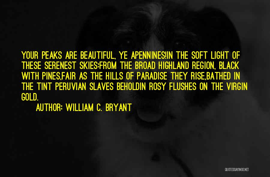 William C. Bryant Quotes 168276