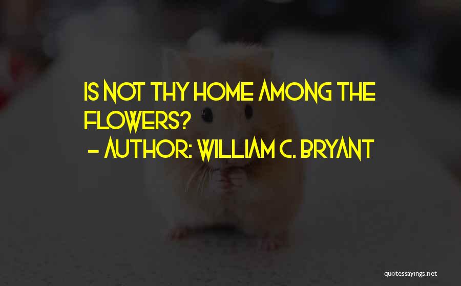 William C. Bryant Quotes 443764