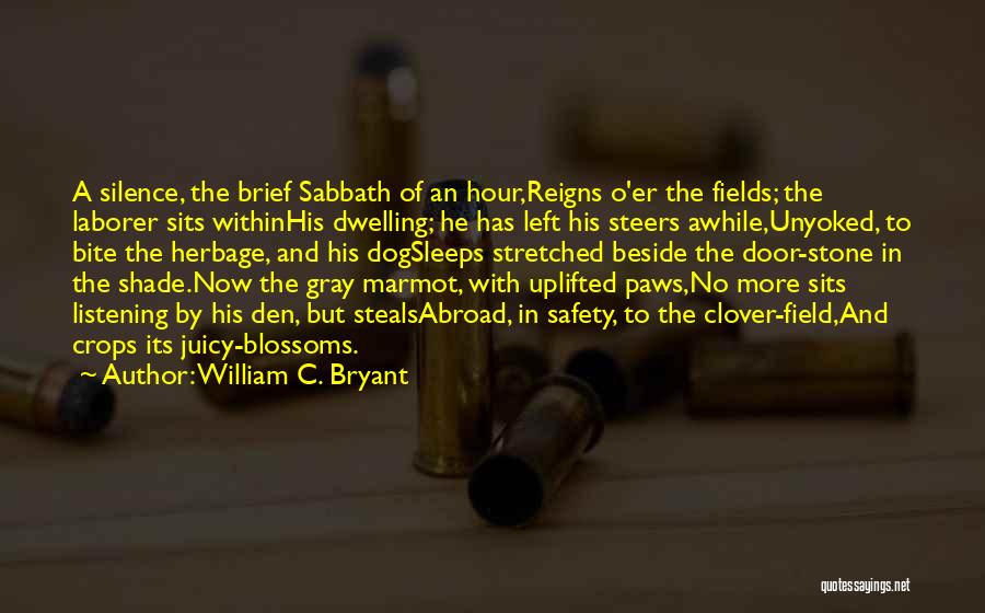 William C. Bryant Quotes 77056