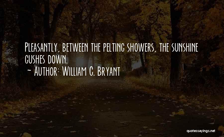 William C. Bryant Quotes 881339
