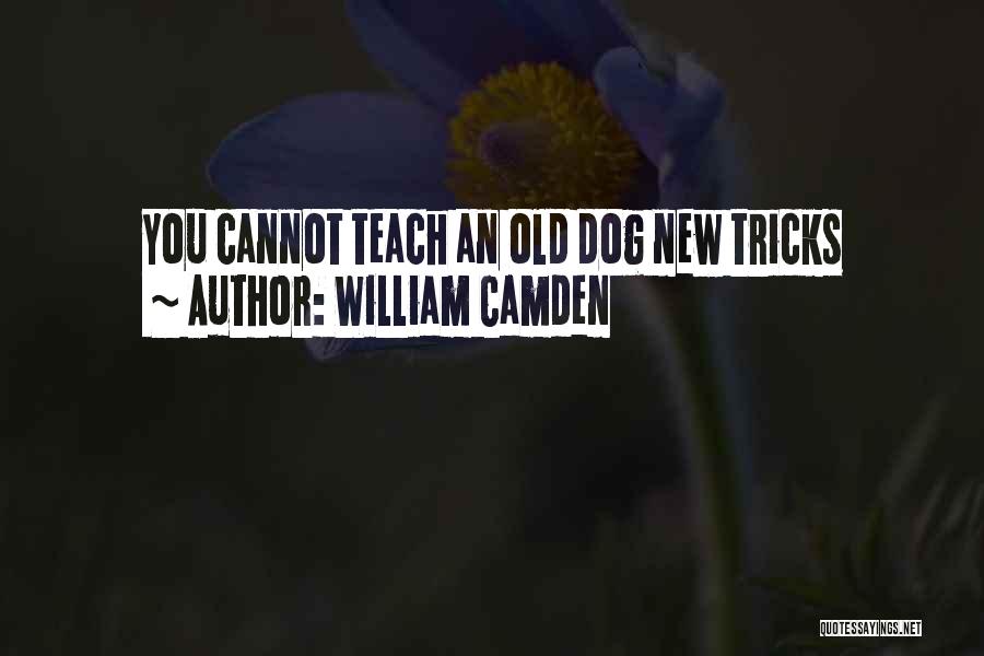 William Camden Quotes 1830364