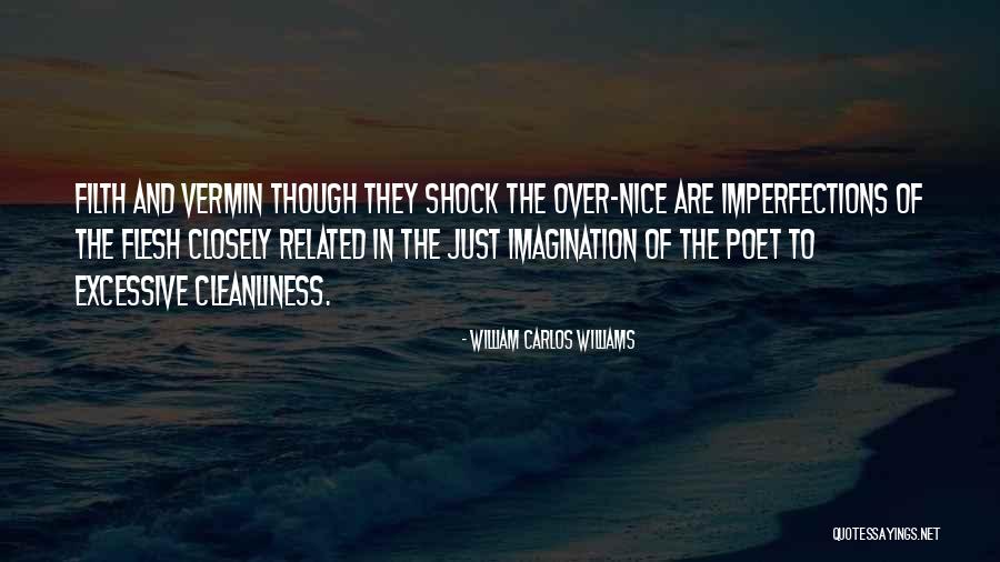 William Carlos Williams Quotes 1079595 William Carlos Williams Quotes 1079595