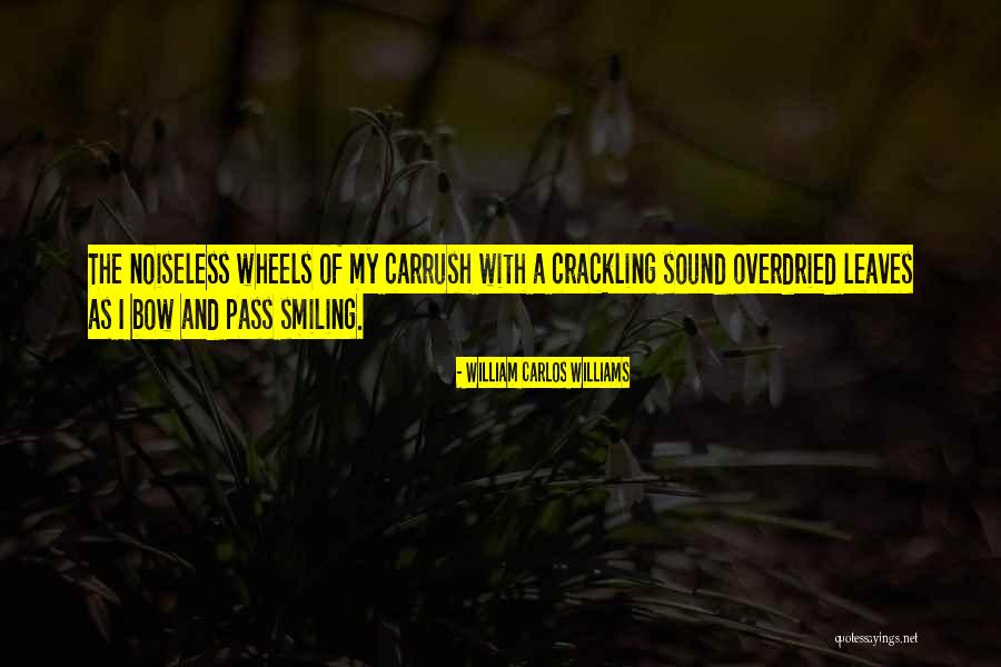 William Carlos Williams Quotes 1234802 William Carlos Williams Quotes 1234802