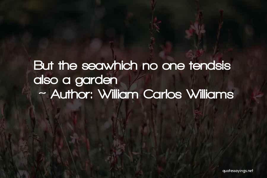 William Carlos Williams Quotes 1264963
