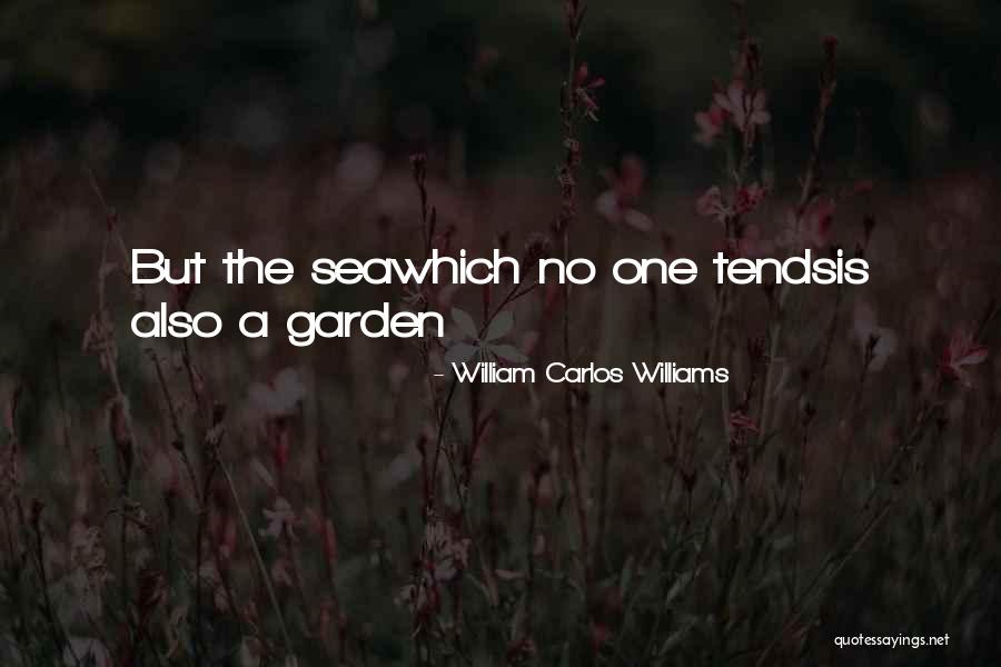 William Carlos Williams Quotes 1264963 William Carlos Williams Quotes 1264963