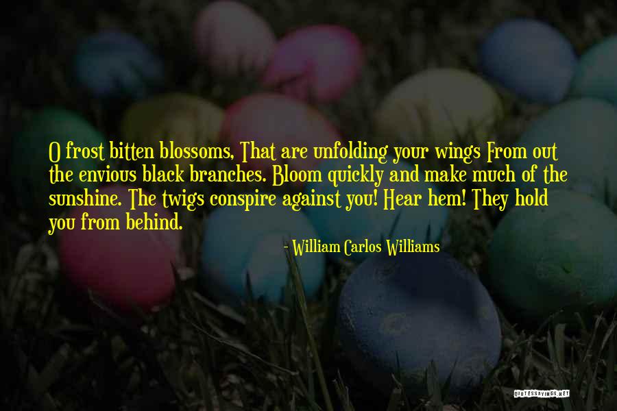 William Carlos Williams Quotes 1365228 William Carlos Williams Quotes 1365228
