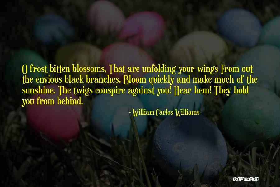 William Carlos Williams Quotes 1365228