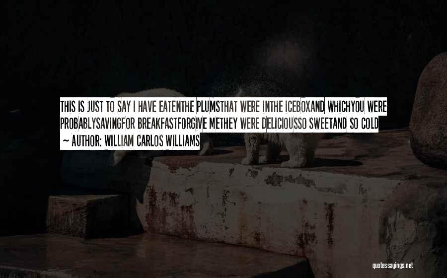 William Carlos Williams Quotes 1655975