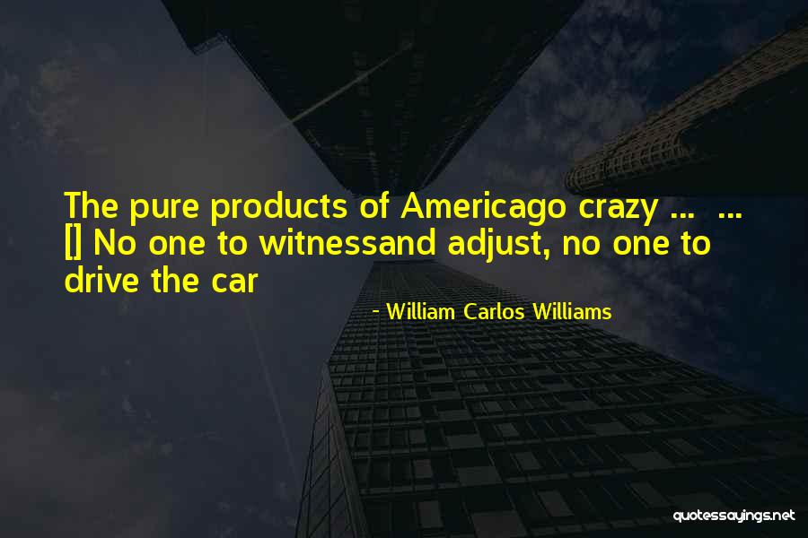 William Carlos Williams Quotes 171910