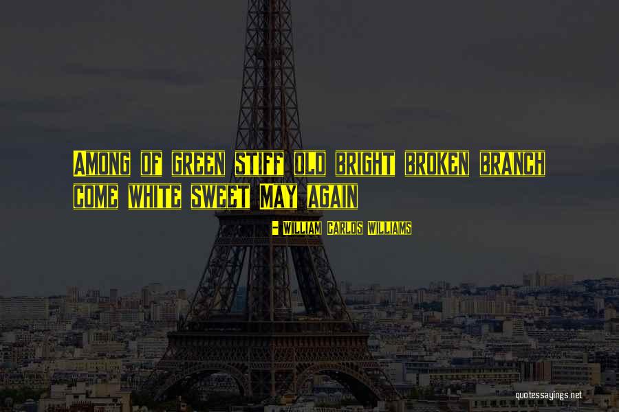 William Carlos Williams Quotes 1846782 William Carlos Williams Quotes 1846782