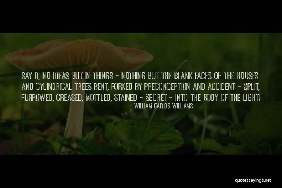 William Carlos Williams Quotes 1919891 William Carlos Williams Quotes 1919891