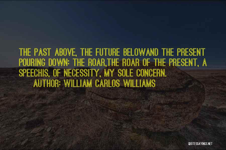 William Carlos Williams Quotes 1979116
