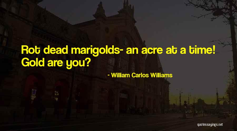 William Carlos Williams Quotes 2015126 William Carlos Williams Quotes 2015126
