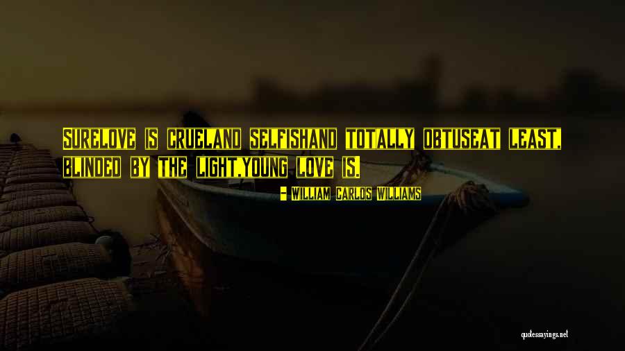 William Carlos Williams Quotes 2015394 William Carlos Williams Quotes 2015394