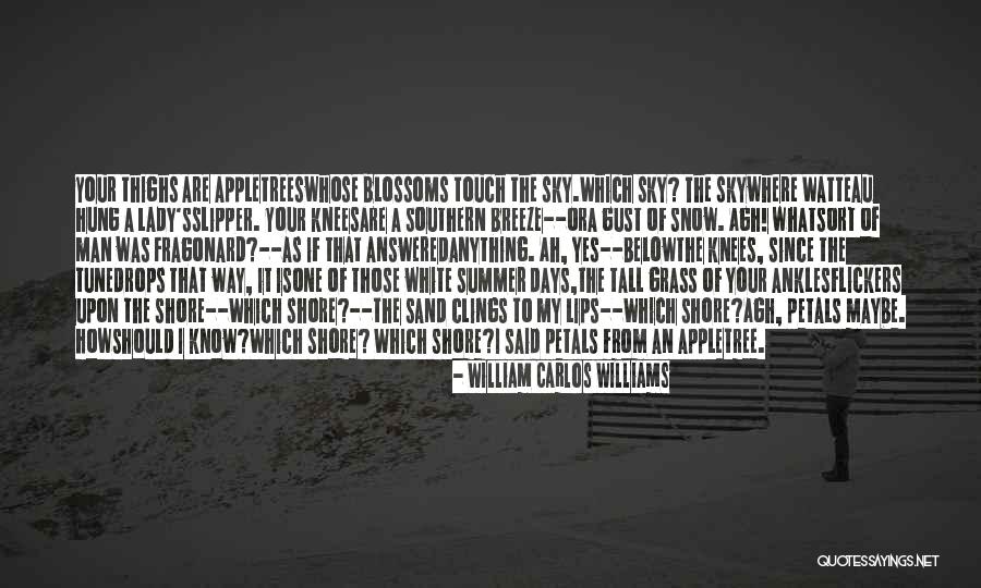William Carlos Williams Quotes 2073897 William Carlos Williams Quotes 2073897
