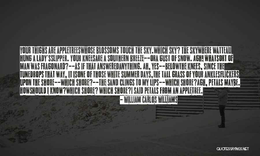 William Carlos Williams Quotes 2073897