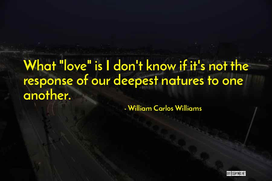 William Carlos Williams Quotes 2235136