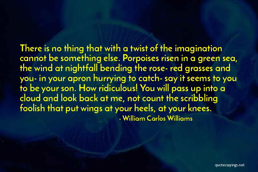 William Carlos Williams Quotes 2236522 William Carlos Williams Quotes 2236522
