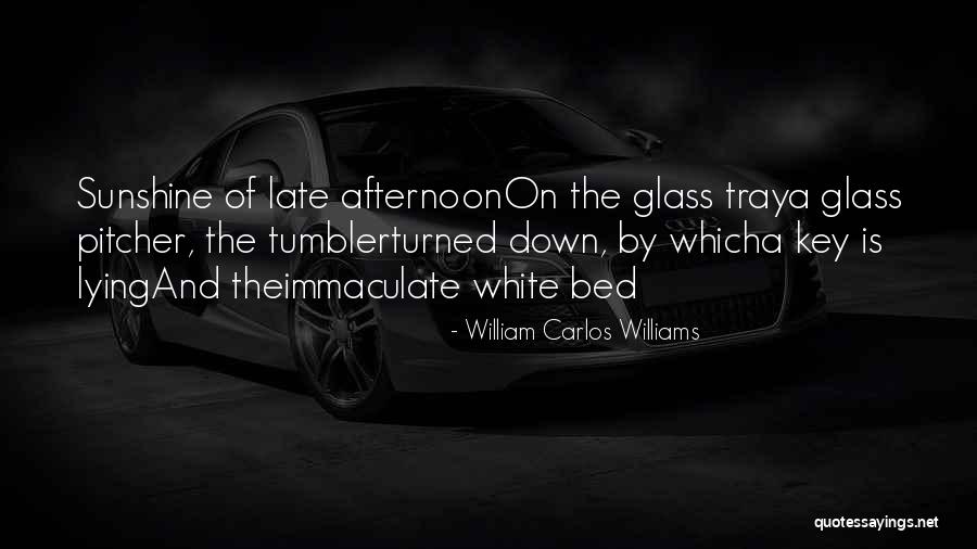 William Carlos Williams Quotes 443865