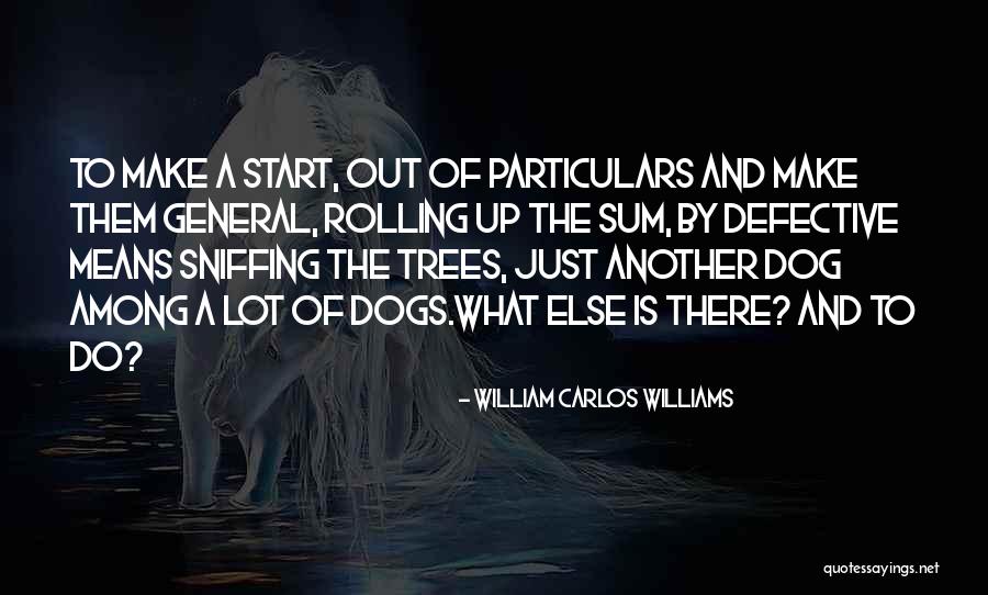 William Carlos Williams Quotes 613015