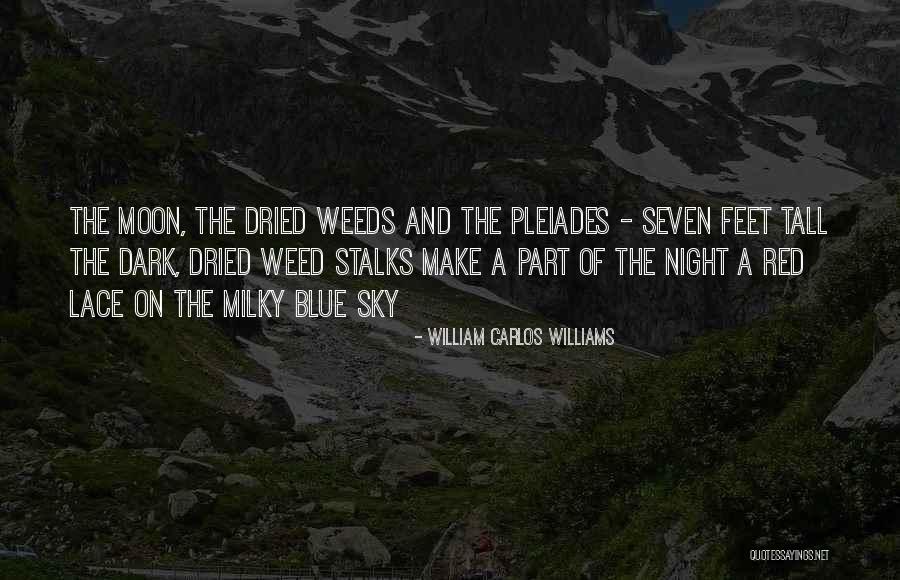 William Carlos Williams Quotes 976143