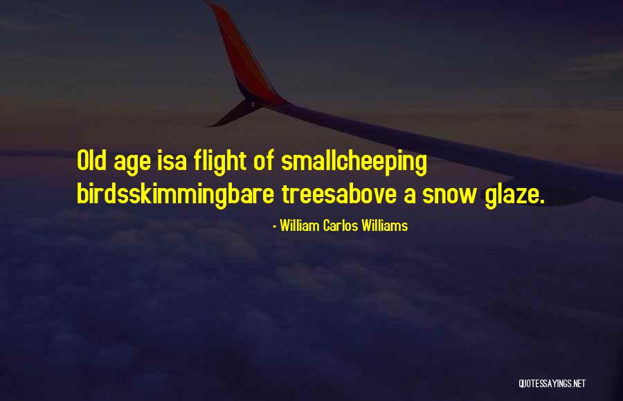 William Carlos Williams Quotes 986438 William Carlos Williams Quotes 986438