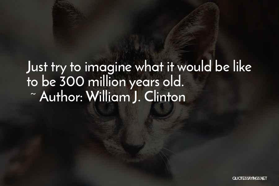 William Clinton Quotes By William J. Clinton