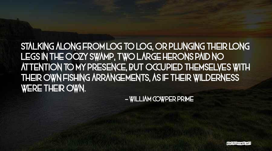 William Cowper Prime Quotes 1888453