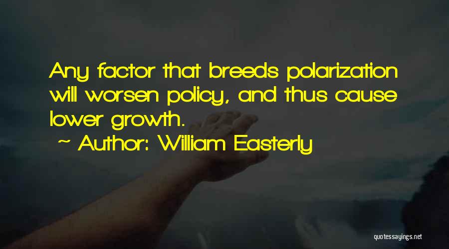 William Easterly Quotes 429652