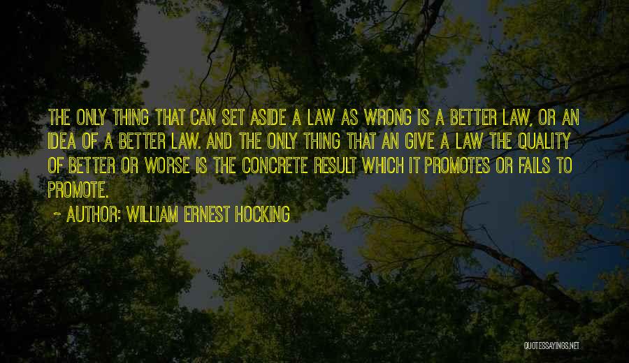 William Ernest Hocking Quotes 469150