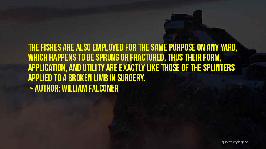 William Falconer Quotes 552065