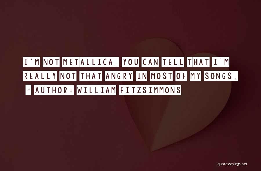 William Fitzsimmons Best Quotes By William Fitzsimmons