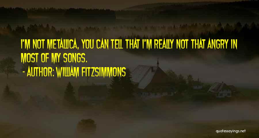 William Fitzsimmons Quotes 96564