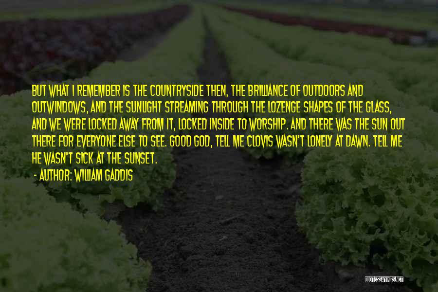 William Gaddis Quotes 1634503