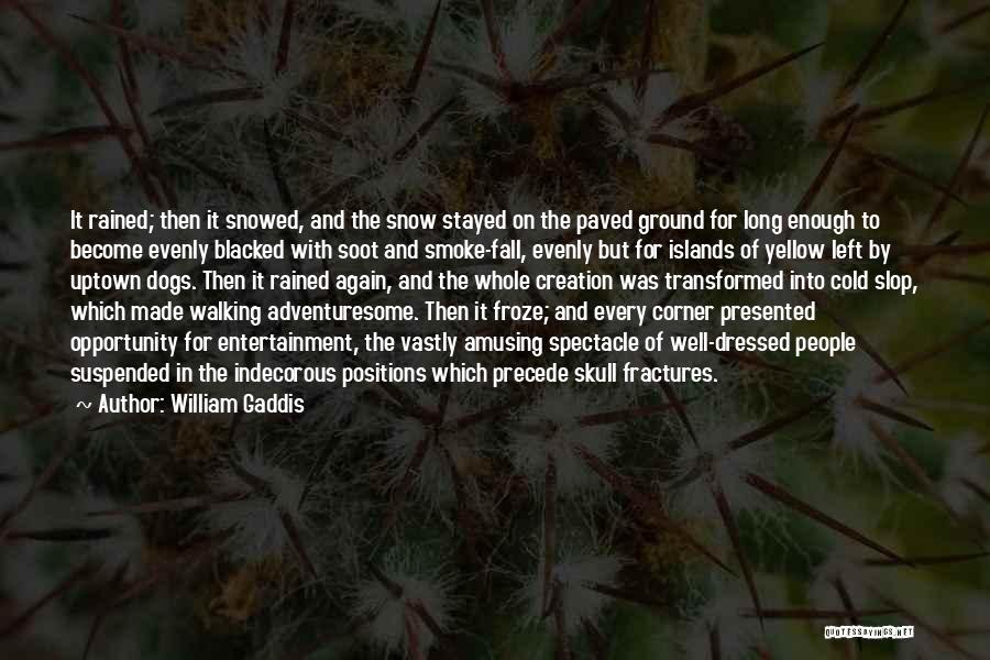 William Gaddis Quotes 216824