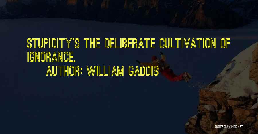 William Gaddis Quotes 938007