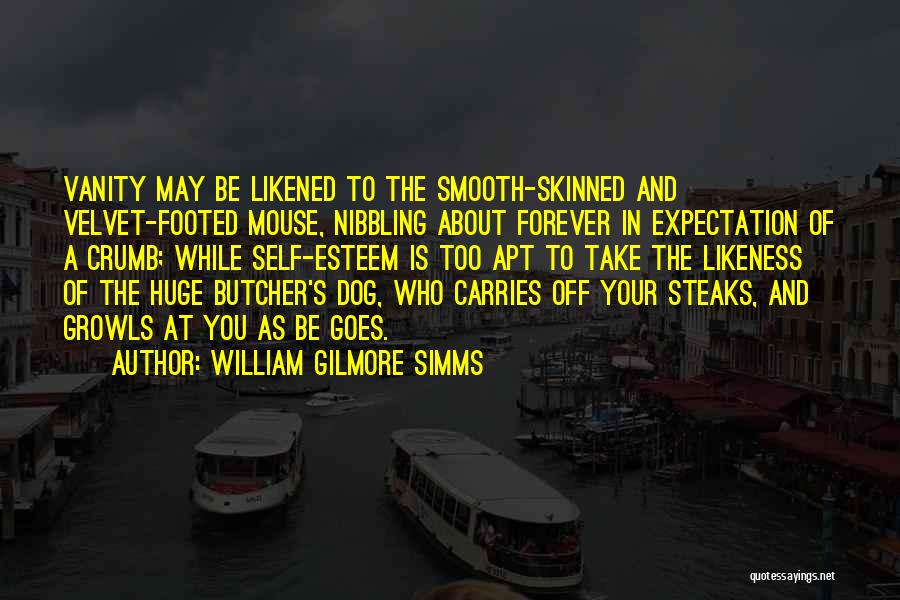 William Gilmore Simms Quotes 187140