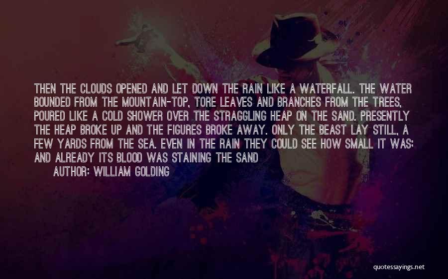 William Golding Quotes 2190841