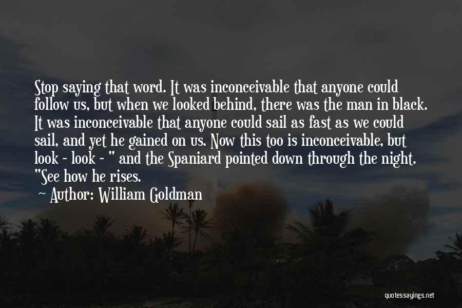William Goldman Quotes 1349686