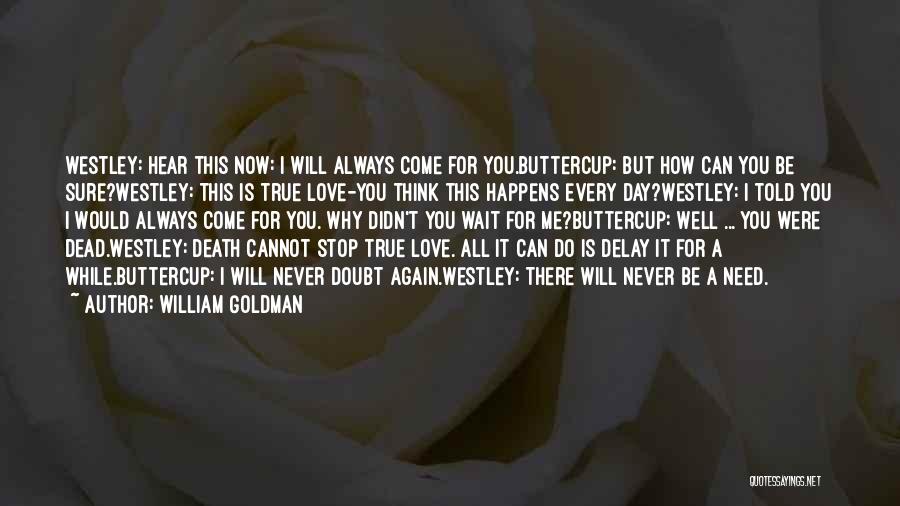 William Goldman Quotes 1376874