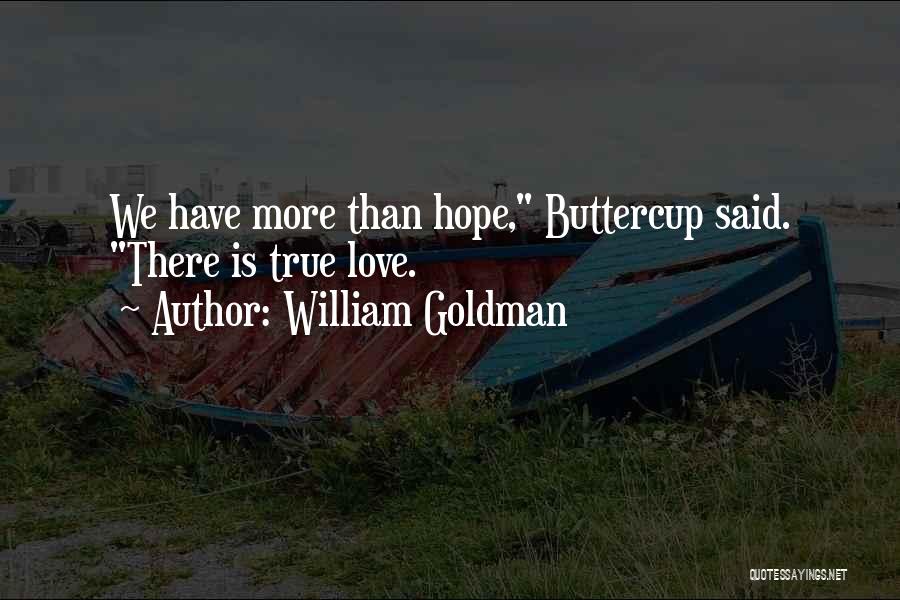 William Goldman Quotes 1517340