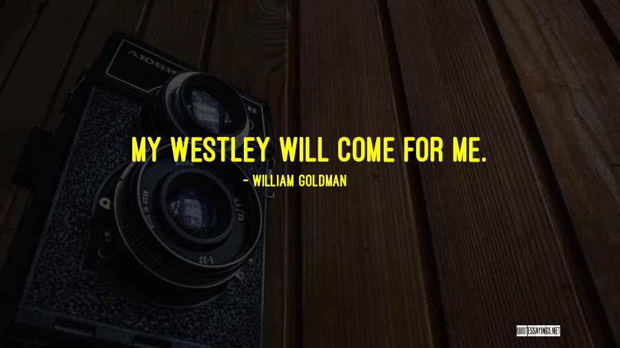 William Goldman Quotes 1975625 William Goldman Quotes 1975625