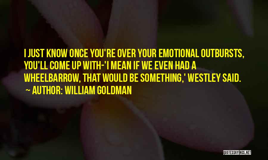 William Goldman Quotes 621959