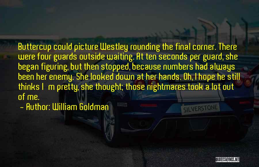 William Goldman Quotes 806223