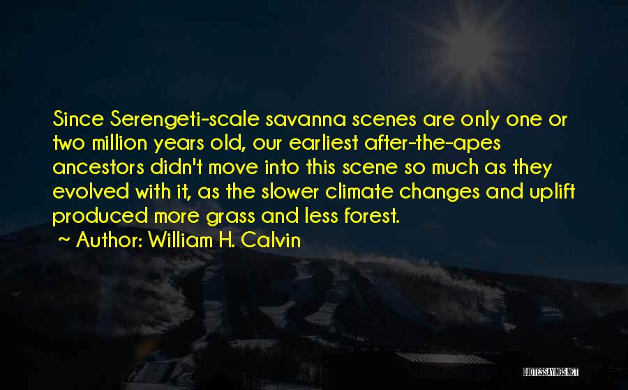 William H. Calvin Quotes 2010763