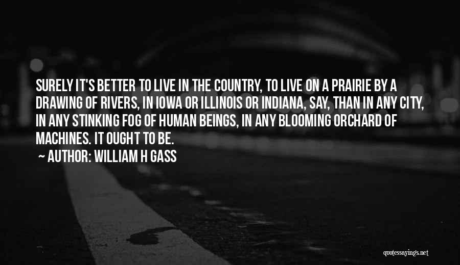 William H Gass Quotes 1077217