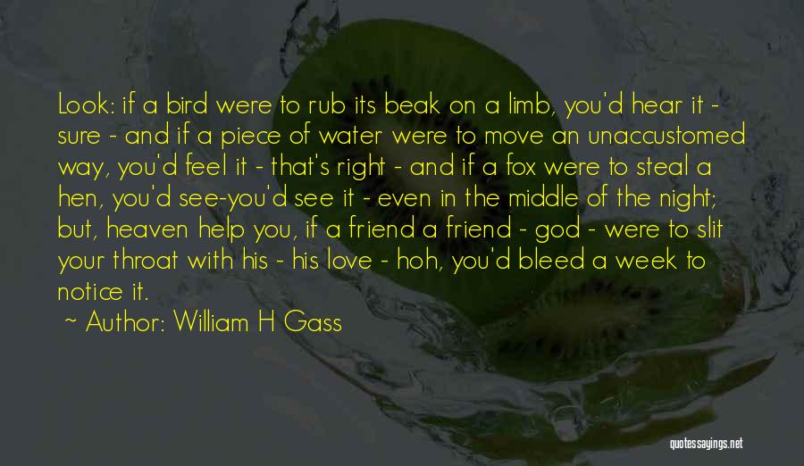 William H Gass Quotes 161020