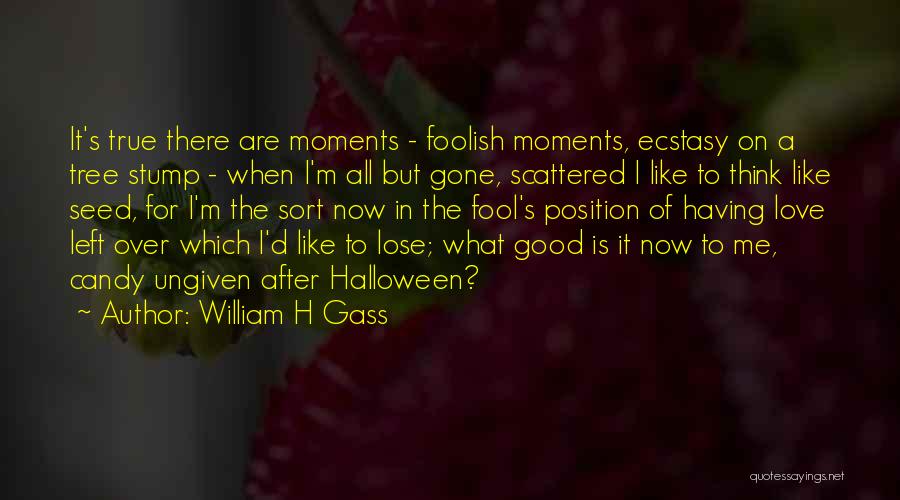 William H Gass Quotes 1713786