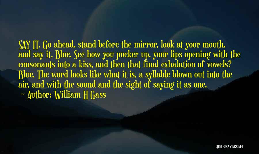 William H Gass Quotes 2185846