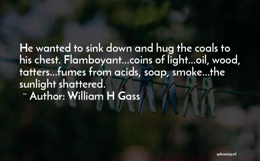 William H Gass Quotes 2243585